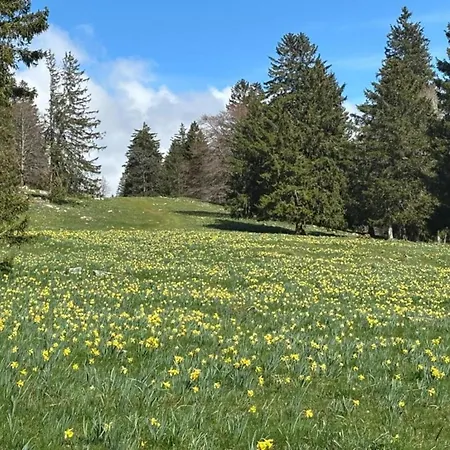 بيت للعطل Gemuetliches Bungalow Am Kronenburger See Mit Terrasse