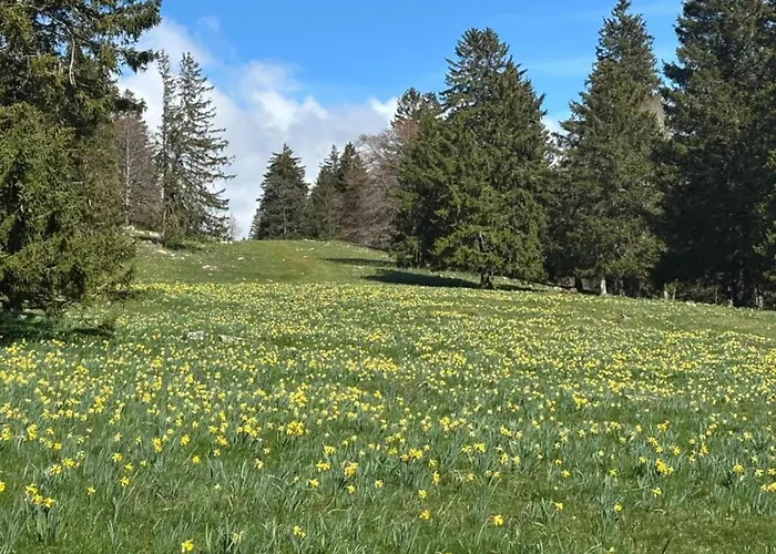 Casa de Férias Escape Near Kronenburger