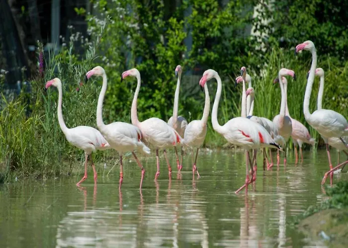 Escape Near Kronenburger Casa de Férias *