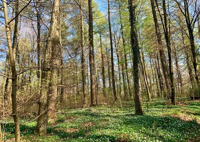 Escape Near Kronenburger * Hallschlag